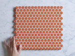 Broadwater Orange Gloss Penny Round Mosaic Tile